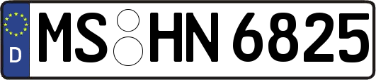 MS-HN6825