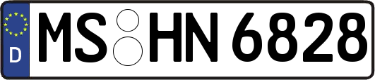 MS-HN6828