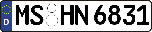 MS-HN6831