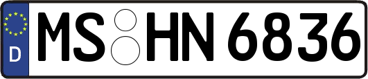 MS-HN6836