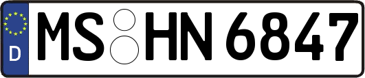 MS-HN6847