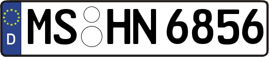 MS-HN6856