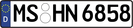 MS-HN6858
