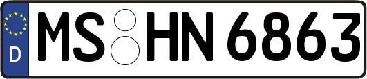 MS-HN6863