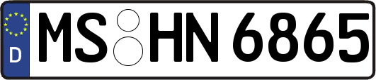 MS-HN6865