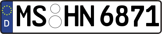 MS-HN6871