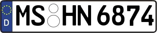 MS-HN6874