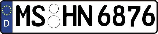 MS-HN6876