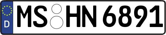 MS-HN6891