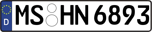 MS-HN6893