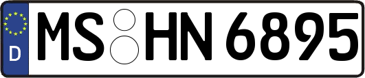 MS-HN6895