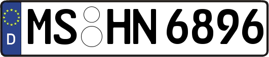 MS-HN6896