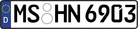 MS-HN6903