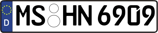MS-HN6909
