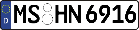 MS-HN6916