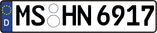 MS-HN6917