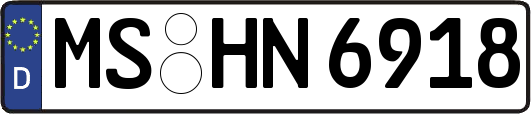 MS-HN6918