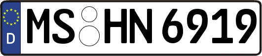 MS-HN6919