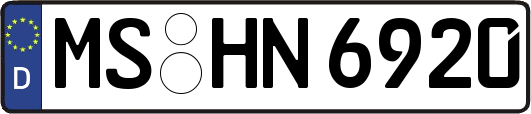 MS-HN6920