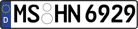 MS-HN6929