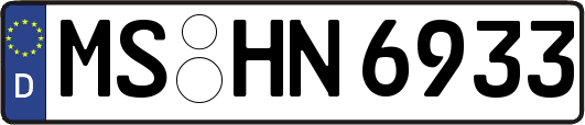 MS-HN6933