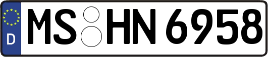 MS-HN6958
