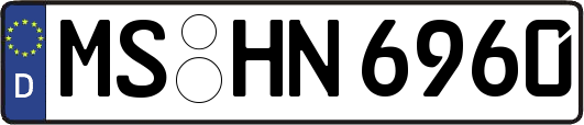MS-HN6960