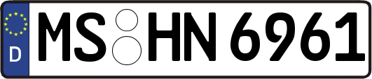 MS-HN6961