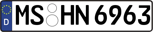 MS-HN6963