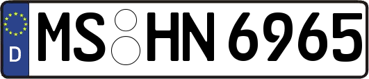 MS-HN6965