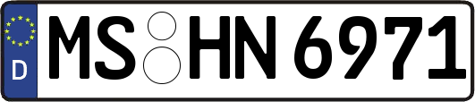 MS-HN6971