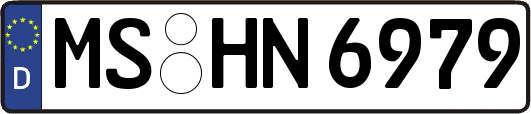 MS-HN6979