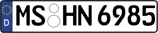 MS-HN6985