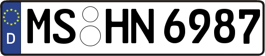 MS-HN6987