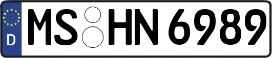 MS-HN6989