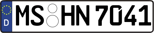 MS-HN7041