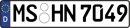 MS-HN7049