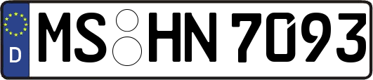 MS-HN7093