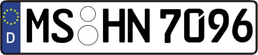 MS-HN7096