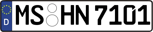 MS-HN7101