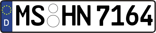 MS-HN7164