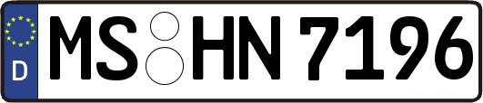 MS-HN7196