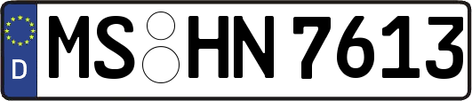 MS-HN7613