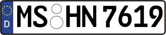 MS-HN7619