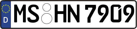 MS-HN7909