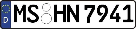 MS-HN7941