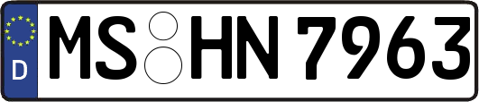 MS-HN7963