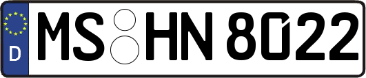 MS-HN8022