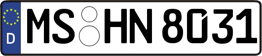 MS-HN8031