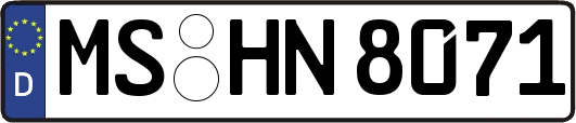 MS-HN8071